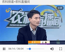 怎么保證長毛兔冬季的繁殖工作呢？