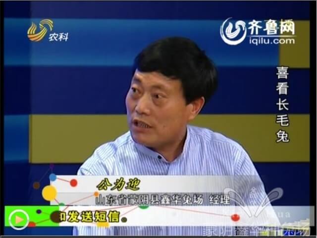 長(zhǎng)毛種兔