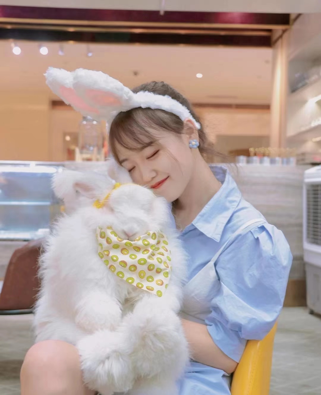 店面安哥拉兔實拍