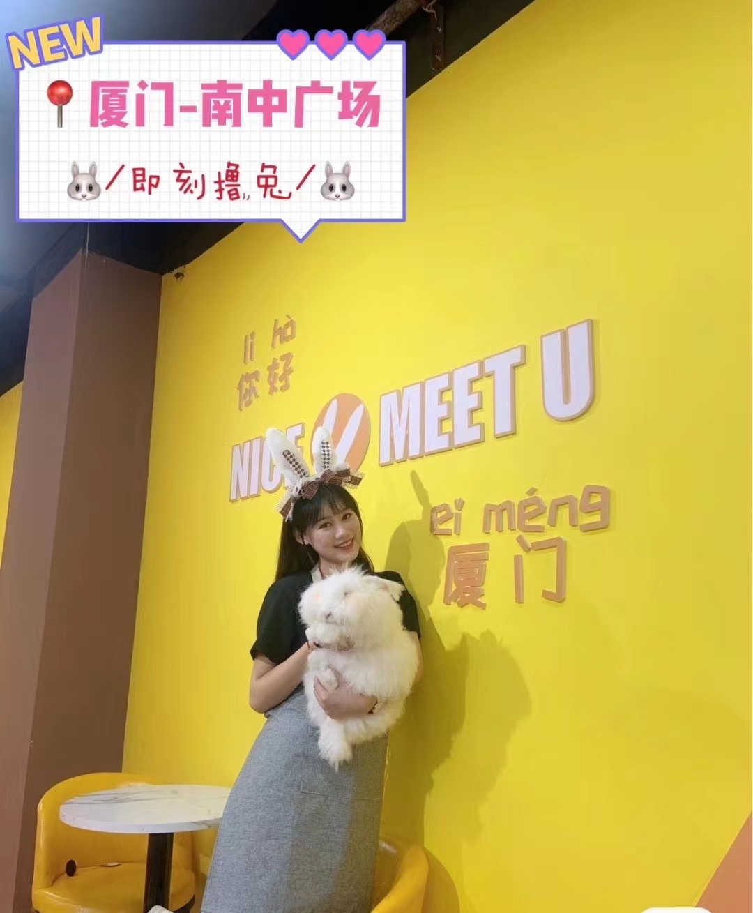 長毛兔高附加值在哪？從品種特性到萬元奢侈品的價值鏈條揭秘