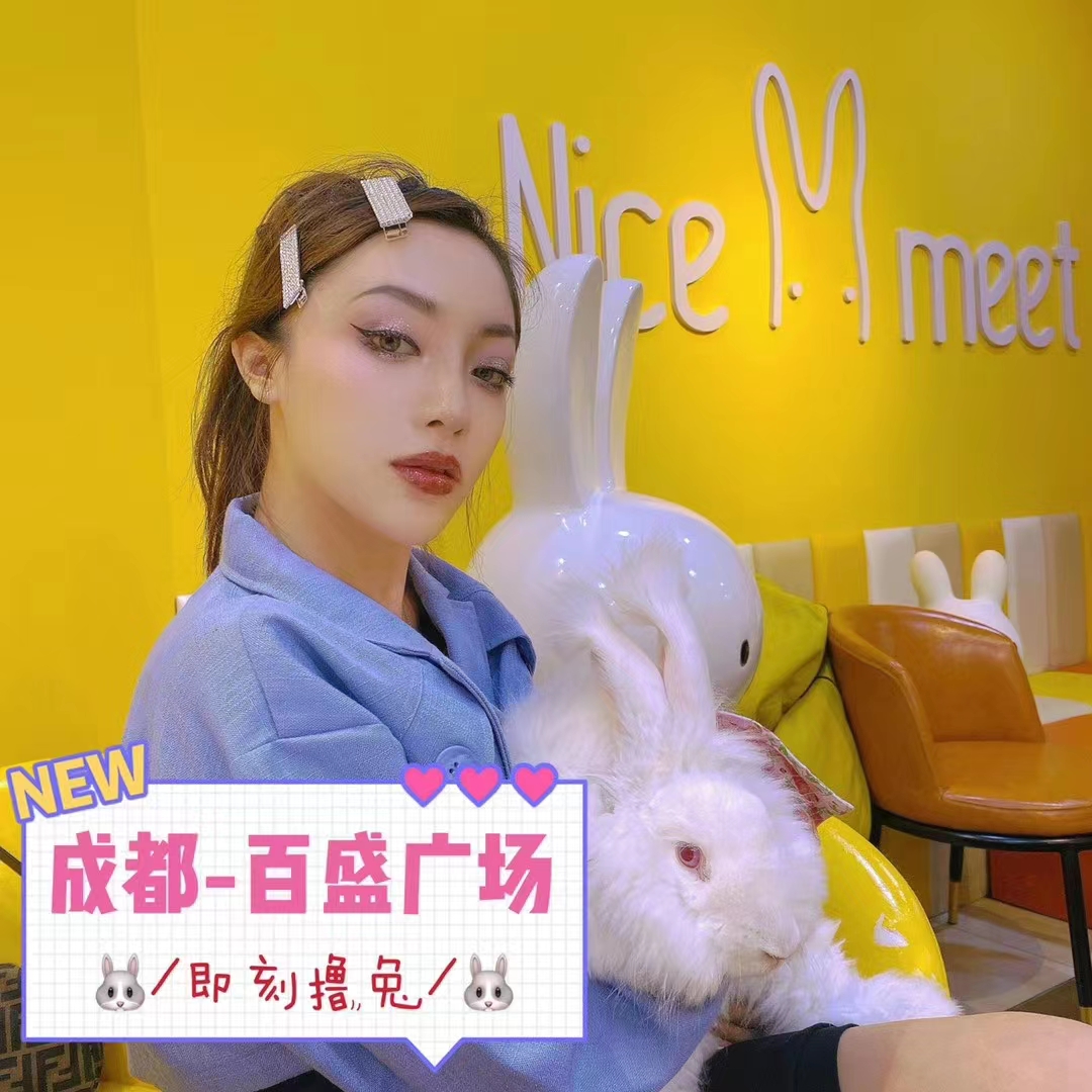 長毛兔養殖行不行？小編實誠分享，不吹不黑說真相